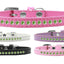 Dog, Puppy & Pet Fashion Collar, "Lime Green Crystal Rimsets"