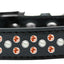 Dog, Puppy & Pet Fashion  Collar, "Pearl and Orange Crystal Rimsets Sprinkles"