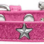 Dog, Puppy & Pet Widget Ice Cream Collar, "Silver Star"