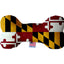 Pet & Dog Plush Bone Toys, "Maryland State Options" (Available in different pattern options)