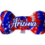 Pet & Dog Plush Bone Toys, "Arizona Desert" (Set 1 of 2)