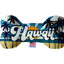 Pet & Dog Plush Bone Toys, "Hawaii State Options" (Available in different pattern options)