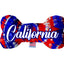 Pet & Dog Plush Bone Toys, "California Desert" (Set 3 of 3 California State Toy Options, available in different pattern options!)