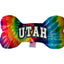 Pet & Dog Plush Bone Toys, "Utah Desert" (Set 2 of 2 Utah State Toy Options, available in different pattern options!)