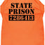 Halloween Pet Dog & Cat Shirt Screen Printed, "Inmate Costume"