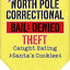 Christmas Pet and Dog Bandana Screen Printed, "North Pole Correctional"