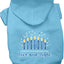 Hanukkah Pet, Dog and Cat Hoodie Screen Printed, "Love and Light"