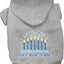 Hanukkah Pet, Dog and Cat Hoodie Screen Printed, "Love and Light"