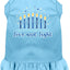 Hanukkah Pet, Dog and Cat Dress Screen Printed, "Love and Light"