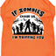 Halloween Pet Dog & Cat Shirt Screen Printed, "If Zombies Chase Us, I'm Tripping You"