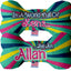 Pet & Dog Plush Double Sided Bone Toy, "Be An Allan"