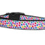 Pet Dog & Cat Nylon Collar or Leash, "Confetti Paws"