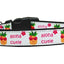 Pet Dog & Cat Nylon Collar or Leash, "Aloha Cutie"