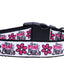 Pet Dog & Cat Nylon Collar or Leash, "Dangerous in Camo"