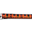 Halloween Pet Dog & Cat Nylon Collar or Leash, "Witches Brew"