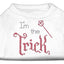 Halloween Pet Dog & Cat Shirt Rhinestone,"I'm the Trick"