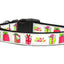 Christmas Pet Dog & Cat Nylon Collar or Leash, "All Wrapped Up"