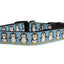 Christmas Pet Dog & Cat Nylon Collar or Leash, "Penguins"