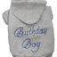 Birthday Pet Dog & Cat Hoodie Rhinestone, "Birthday Boy"