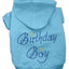 Birthday Pet Dog & Cat Hoodie Rhinestone, "Birthday Boy"