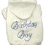 Birthday Pet Dog & Cat Hoodie Rhinestone, "Birthday Boy"