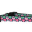 Pet Dog & Cat Nylon Collar or Leash, "Anchor Candy Hearts"