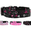 Pet Dog & Cat Nylon Collar or Leash, "Crazy Hearts"