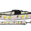 Pet Dog & Cat Nylon Collar or Leash, "Happy Easter"