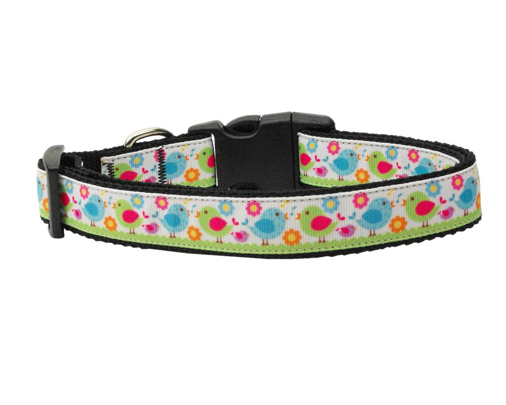 Pet Dog & Cat Nylon Collar or Leash, "Chirpy Chicks"