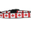 Pet Dog & Cat Nylon Collar or Leash, "Canadian Flag In Swirls"