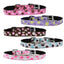 Pet Dog & Cat Nylon Collar or Leash 3/8" wide, "Confetti Dots"