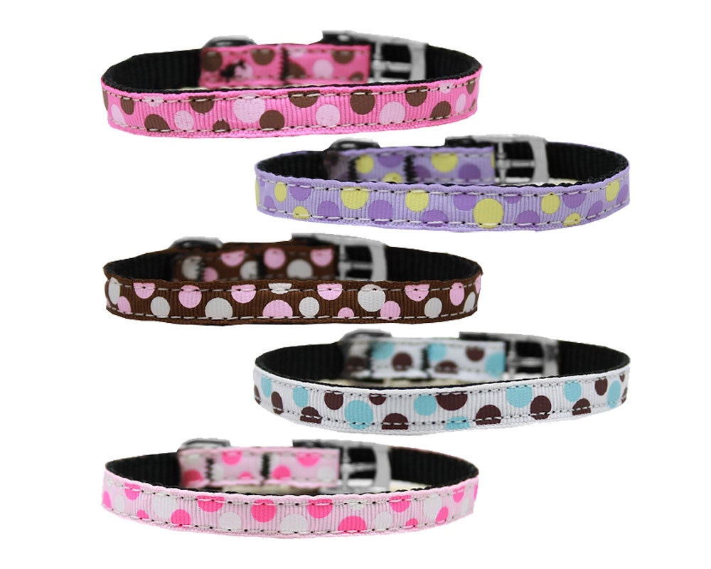 Pet Dog & Cat Nylon Collar or Leash 3/8" wide, "Confetti Dots"