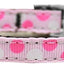 Pet Dog & Cat Nylon Collar or Leash 3/8" wide, "Confetti Dots"