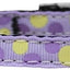 Pet Dog & Cat Nylon Collar or Leash 3/8" wide, "Confetti Dots"