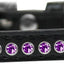 Dog, Puppy & Pet Fashion Collar, "Purple Crystal Rimsets"