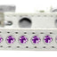 Dog, Puppy & Pet Fashion Collar, "Purple Crystal Rimsets"