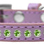 Dog, Puppy & Pet Fashion Collar, "Lime Green Crystal Rimsets"