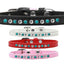 Dog, Puppy and Pet Fashion Collar, "Premium Southwest Turquoise Pearl & Clear Crystals"