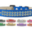 Dog, Puppy & Pet Ice Cream  Collar, "Two Row Aurora Borealis Crystal Rimsets"