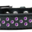 Dog, Puppy & Pet Fashion  Collar, "Purple Crystal Rimsets Sprinkles"