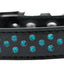 Dog, Puppy & Pet Fashion  Collar, "Southwest Turquoise Pearl Rimsets Sprinkles"