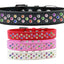 Dog, Puppy & Pet Fashion  Collar, "Confetti Crystal Rimsets Sprinkles"