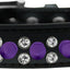 Pet and Dog Spike Collar, "Double Clear Crystals & Purple Spikes”