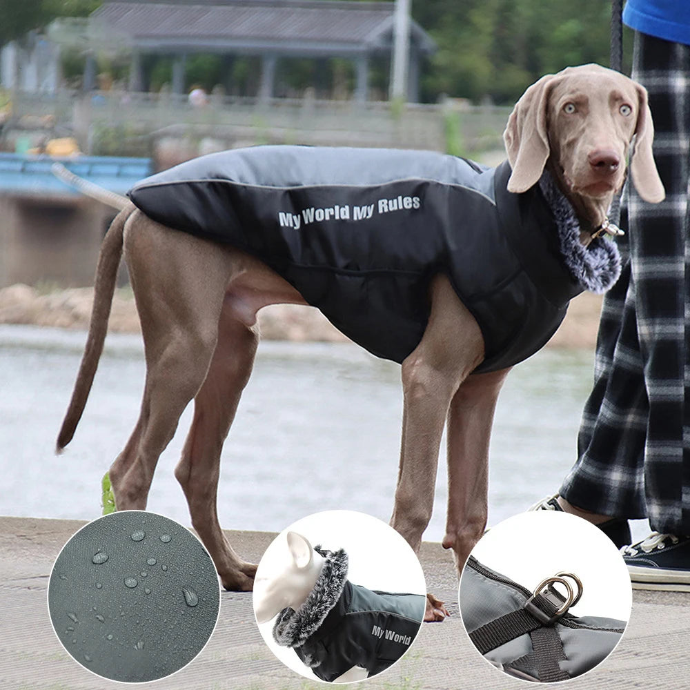 Waterproof Cotton Coat Dogs