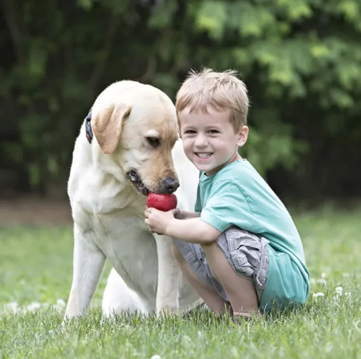 Dog Teething Rubber