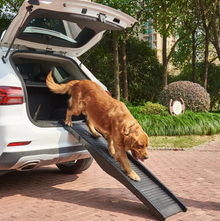 Pet Step Folding Dog Ladder