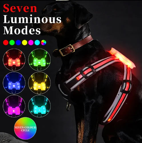 LED Luminous Dog Harness – Rechargeable, Waterproof, Adjustable Anti-Lost Collar