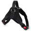 Adjustable Reflective Pet Harness