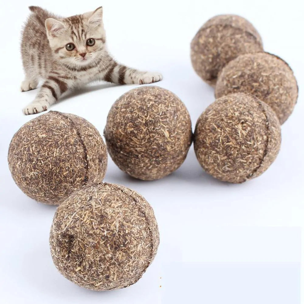 Healthy Catnip Treat Ball Toy