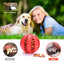 Interactive Rubber Balls For Small And Large Dogs